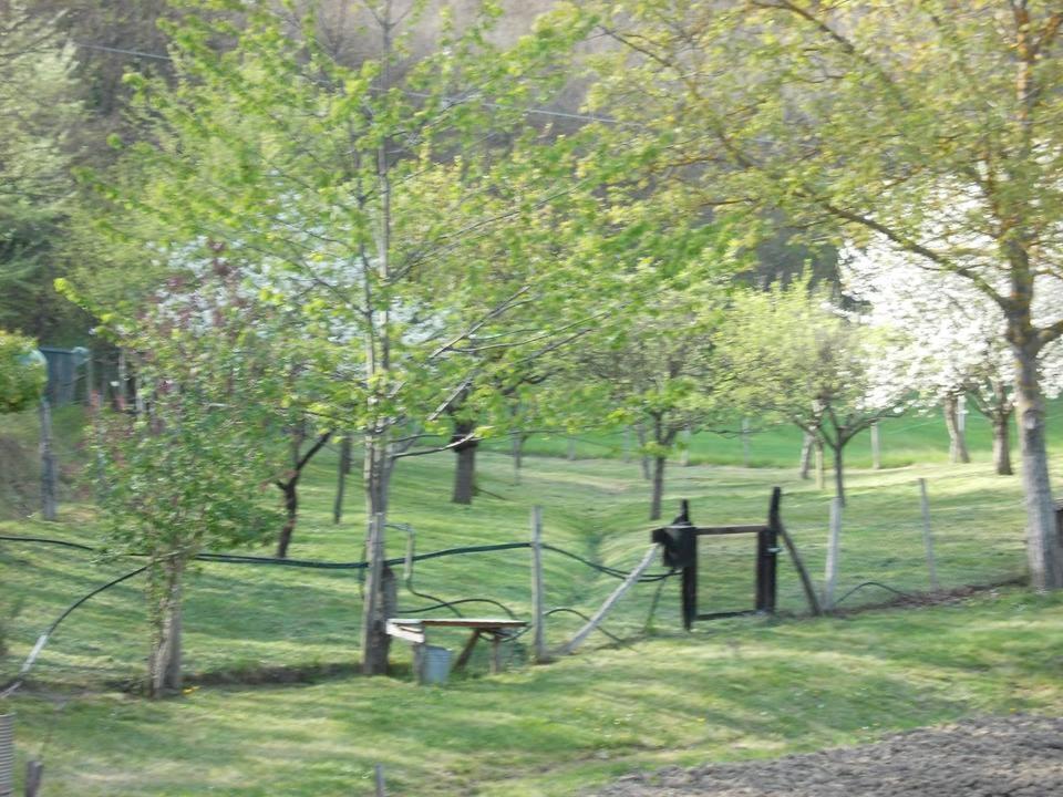Casa Molinari Villa San Martino  Buitenkant foto